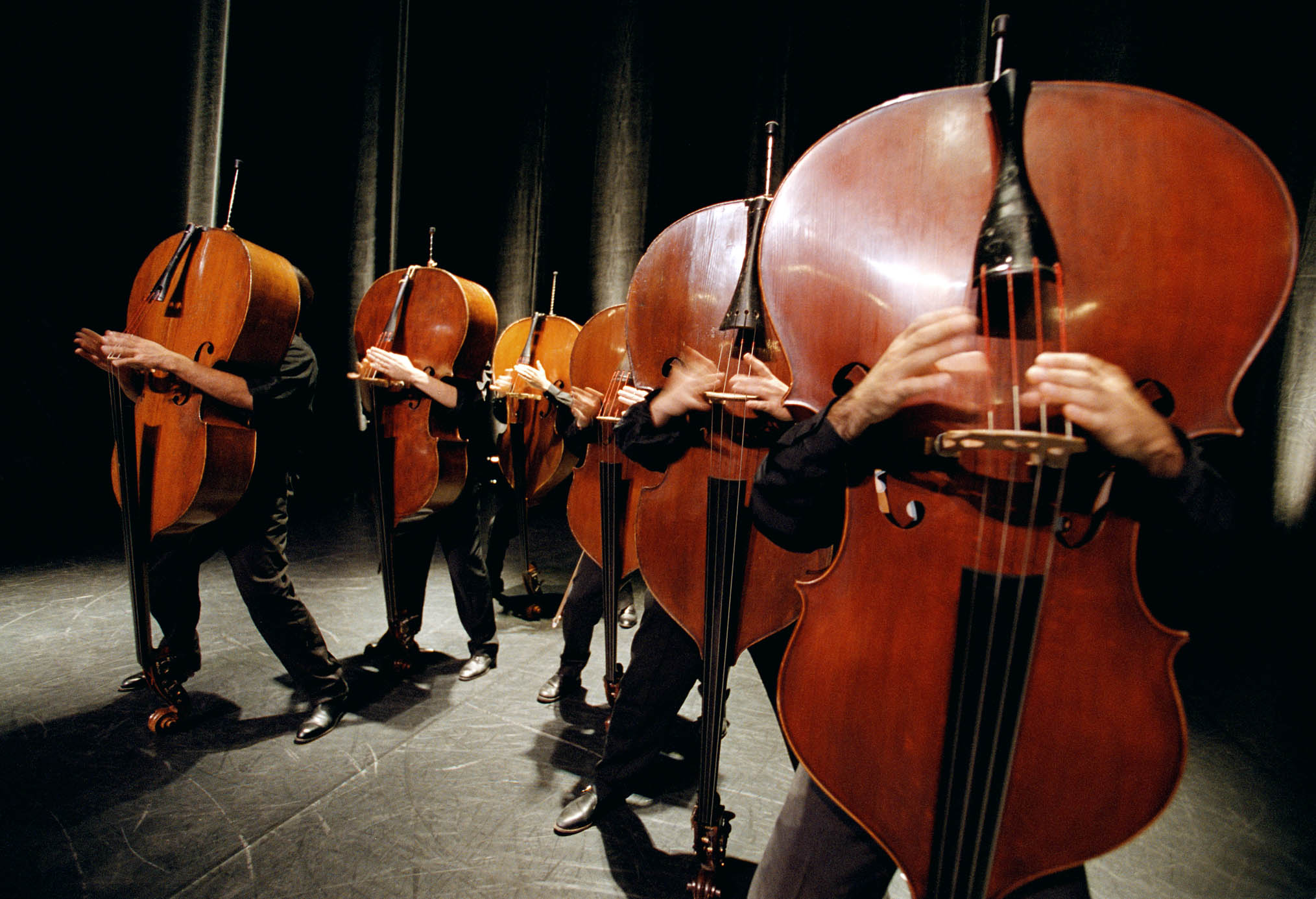 Orchestre de Contrebasses